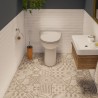 Inodoro con triturador incorporado Dual Flush SFA Sanicompact C43