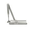 Muelle cierrapuestas Dorma TS 68 brazo normal plata