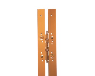 Bisagra larga plana 2100x45 mm Igle R-1063 latonada derecha