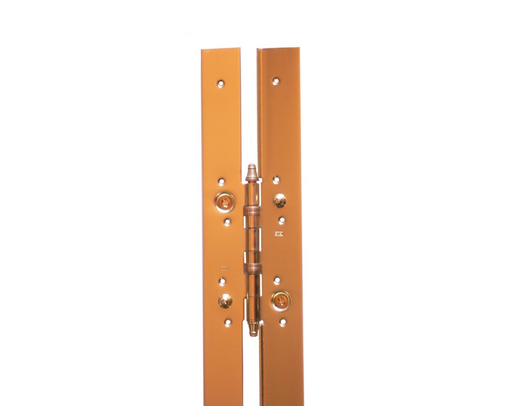 Bisagra larga plana 2100x40 mm Igle R-1063 latonada izquierda