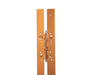 Bisagra larga plana 2030x45 mm Igle R-1063 latonada izquierda