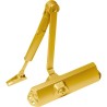 Conjunto Dormakaba TS 68 oro con brazo retenedor