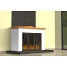 Mortero refractario Sika MonoTop-100 Fire Resistant 5kg