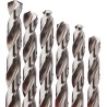 Estuche de 19 brocas metal Milwaukee Thunderweb HSS-G 1-10