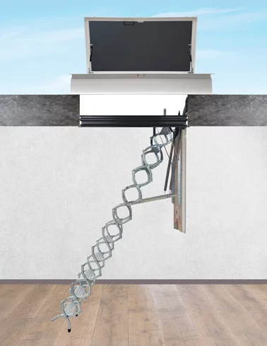 Trampilla estándar combinada con escalera escamoteable